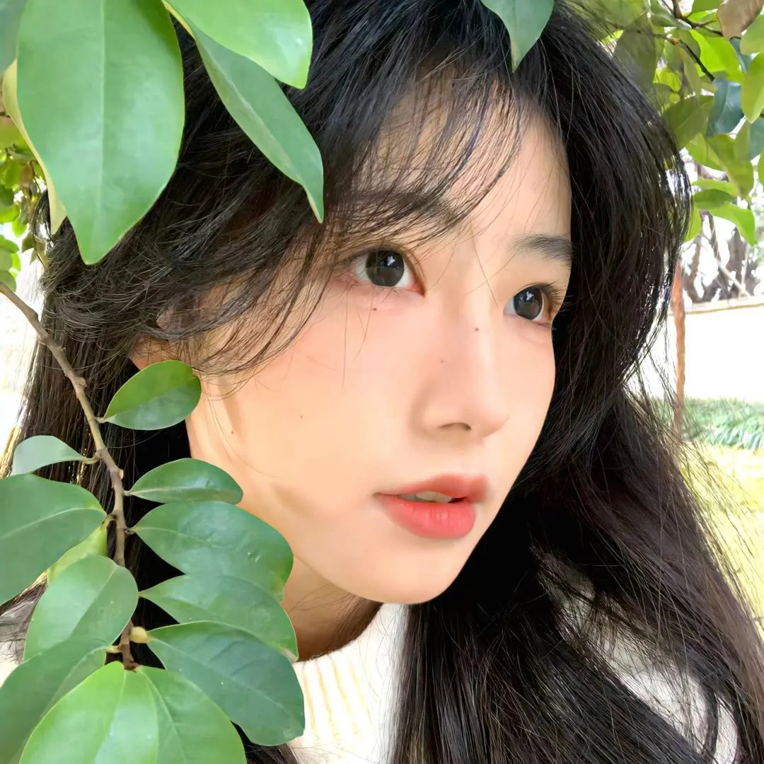 代号玛利亚